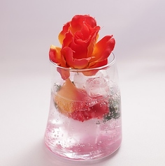 タイムフライズのコース写真