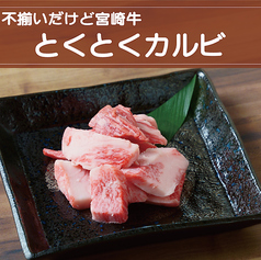 【宮崎牛】とくとくカルビ