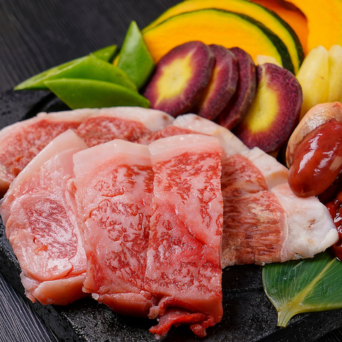 TATSU�j ���� �����w�{�X