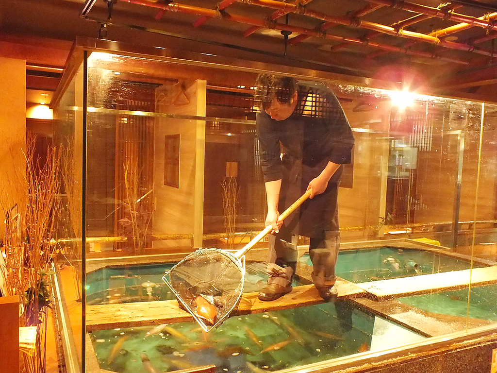 大きな生簀から、泳ぐイカを一匹ずつ丁寧にすくって調理します。