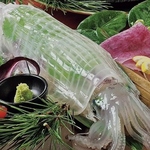 活イカ！18時までの入店限定！博多名物を堪能