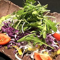 阿波旬菜の野菜サラダ