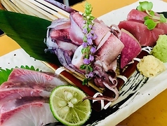 〈おすすめ海鮮〉おまかせ お造り三種盛り合わせ