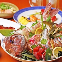 豪快な姿盛りに感動◎本気の和食コースをお手頃価格で！