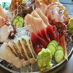 本日のおまかせ刺身