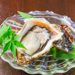 生きたかきを調理した「活かき」は蒸し・焼きで選べます！プリッとした食感ととろける旨味は絶品です