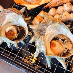 活きサザエ