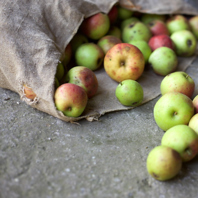 持ち込みに関しまして