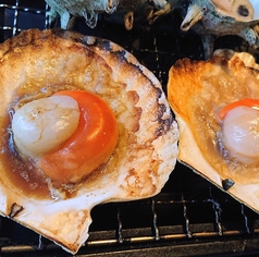 片貝ホタテ