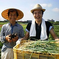 旬の無農薬野菜を提供