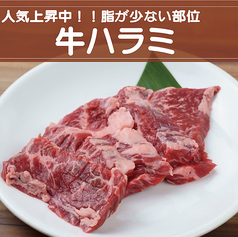 牛ハラミ　《しお・たれ》 