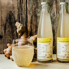 発酵ジンジャー