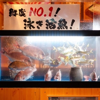 店内に水槽完備