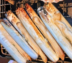 マテ貝(2本)