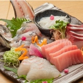 料理メニュー写真 厳選 旬のお刺身5種盛り合わせ
