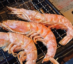 有頭赤海老