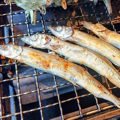 子持ちししゃも(2尾)