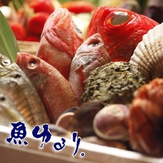鮮魚、刺身、生しらす、日本酒 魚ゆるり。イメージ