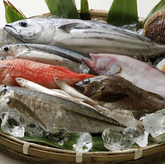 御台所 セバルの特集写真