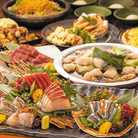 九州料理が贅沢に楽しめるコースを豊富にご用意！