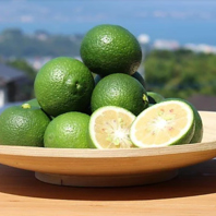 旬の無農薬野菜を、もっと身近に。