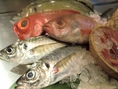 日本海の鮮魚を堪能！