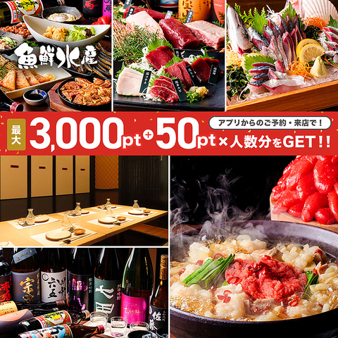 豊後サバ、地域最安値に挑戦！！九州料理や地酒をご堪能ください！