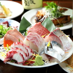 魚火 柏の特集写真