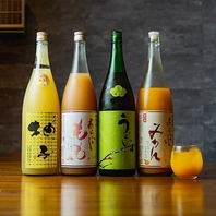 女性にもお酒が得意でない方にもオススメの果実酒が豊富