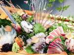 一押し！『本日の刺身盛り合せ1800円』市場直送！新鮮で旬な魚を是非！