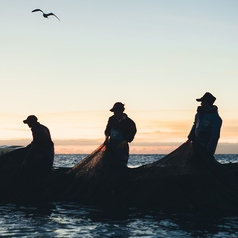 創業昭和弐拾七年 九石大敷組合 伝統漁法九石締め 土佐須崎×帯や勘助