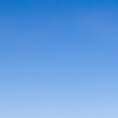 天ぷら酒場 Cocoruの特集写真