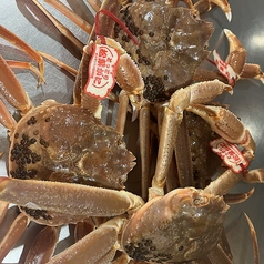 三代目網元 魚鮮水産 シャミネ鳥取店のコース写真