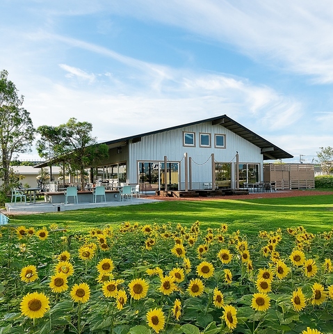 sbcFA&JtF K[u O[EH[N