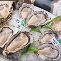 料理メニュー写真&nbsp;おいしい生牡蠣