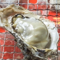 料理メニュー写真 ～石巻市産～　生牡蠣（1個）