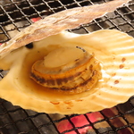 個室居酒屋 名古屋コーチン 焼き鳥と炉端焼き うち田 札幌駅前店の写真ギャラリー