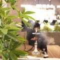 料理メニュー写真&nbsp;シェアチャージ