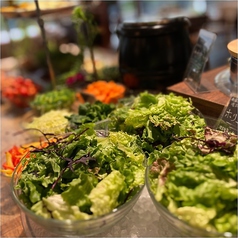 【全ランチに付きます】産地直送サラダバイキング付き!