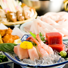 まぐろ料理 しびのコース写真