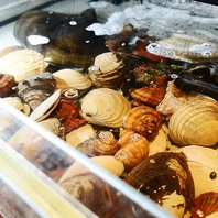 厳選された貝類の数々