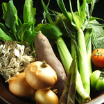 旬の野菜をふんだんに使用した料理の数々…珍しい野菜もあり目でも舌でも楽しめます。