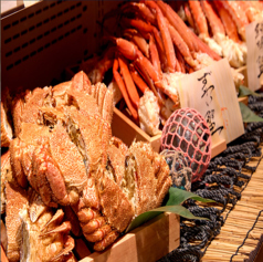 ススキノデパート ONE VIKINGの特集写真