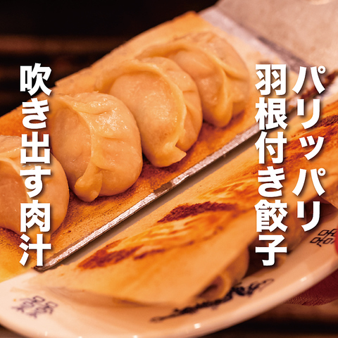 ミシュラン東京の味を継承した餃子専門居酒屋で乾杯