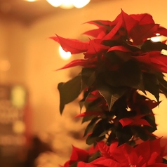 Bubula ブブラのコース写真