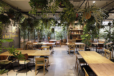 FARMERS'KITCHEN 쒬cX