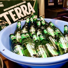 TERRAビール