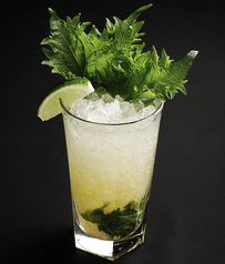 梅紫蘇モヒート(Ume＆Siso Mojito)