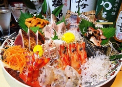 どらもみじ　レッド　湯月町のコース写真