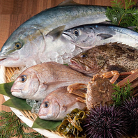 瀬戸内の旬と、全国から届く極上の鮮魚を心ゆくまで